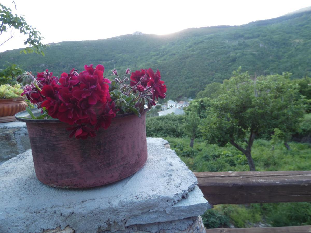 Villa Efrosini Dhrákia Dış mekan fotoğraf